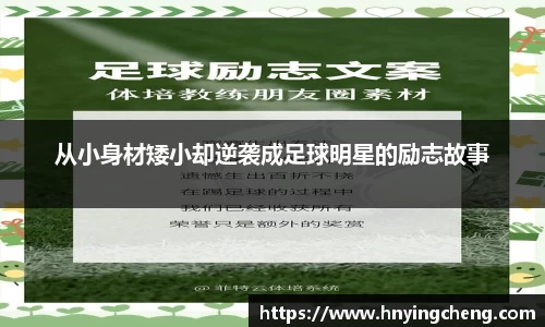 zoty中欧官方网站